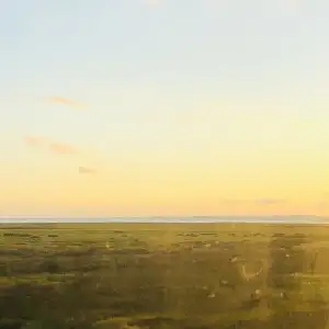 An elephant in the sky